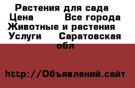 Растения для сада › Цена ­ 200 - Все города Животные и растения » Услуги   . Саратовская обл.